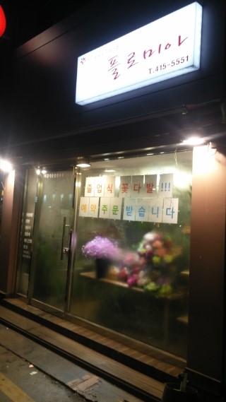 플로미아 이미지