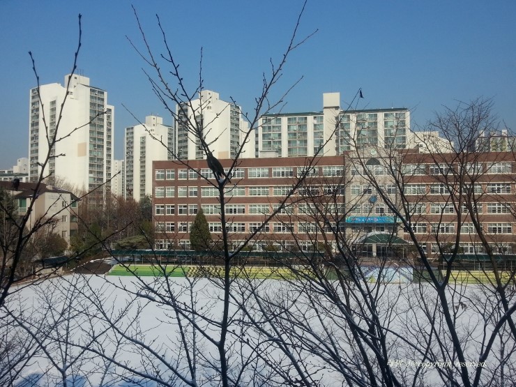 주식회사 화이트빌 이미지