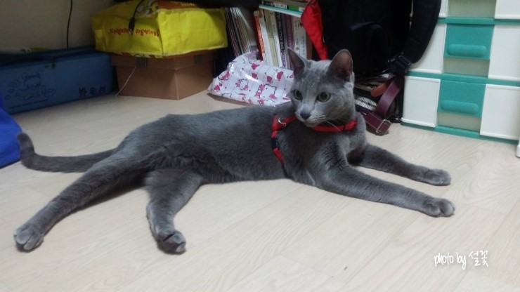 (주)우신카펜 이미지