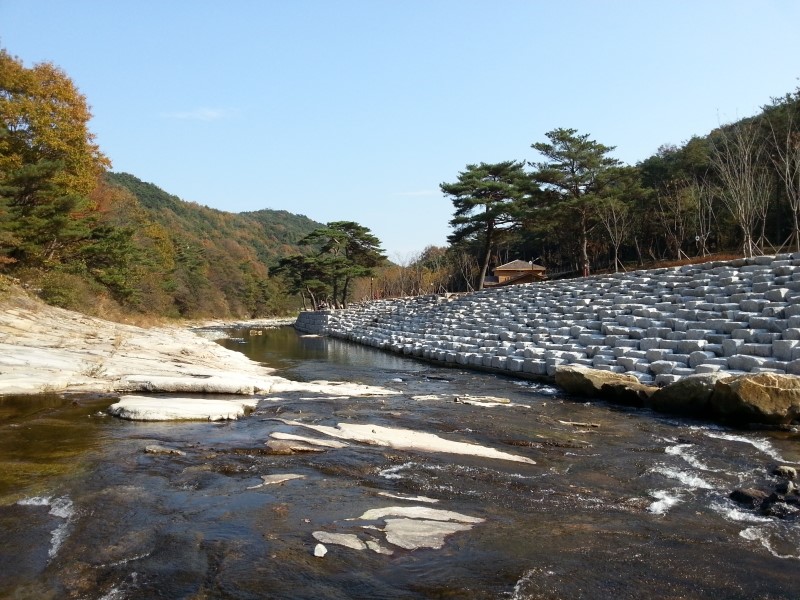 별빛야영장 이미지