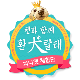 주니지니 이미지