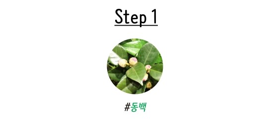 플라워송 이미지