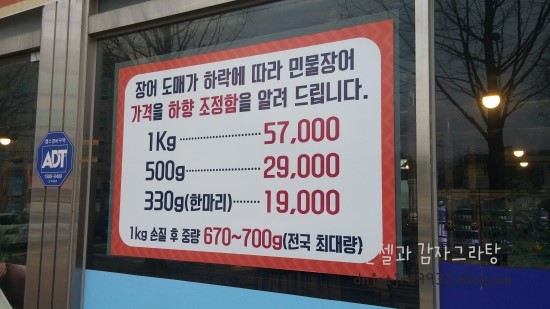 선운장어 이미지