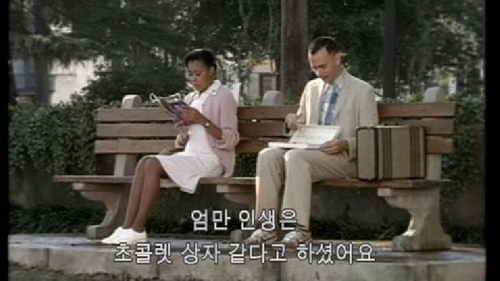 여우깍쟁이 이미지
