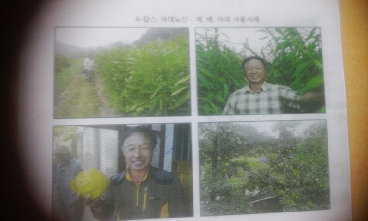 상임농원 이미지