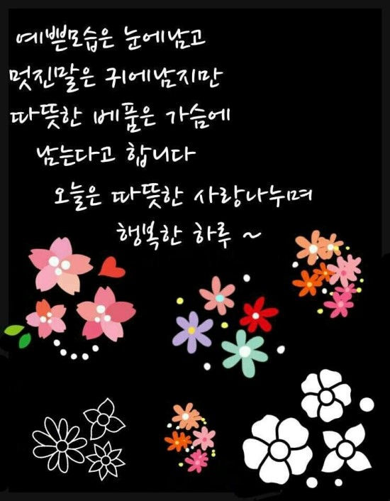 청풍오리 이미지