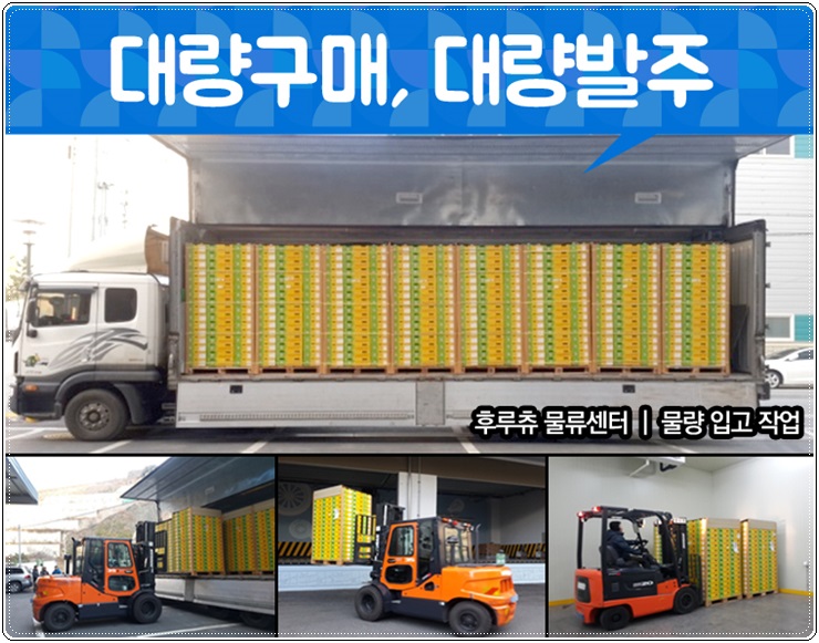 이맘때 과일 이미지