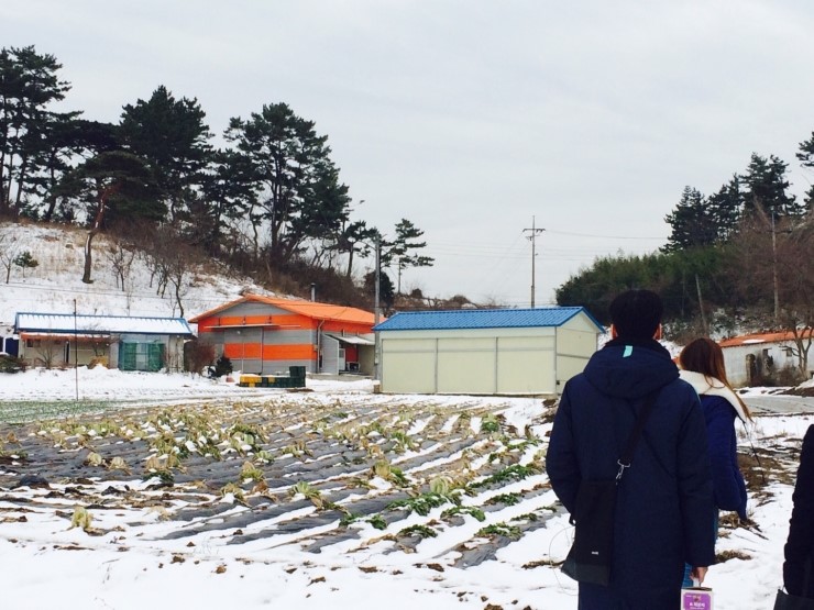 청정태안식품 이미지