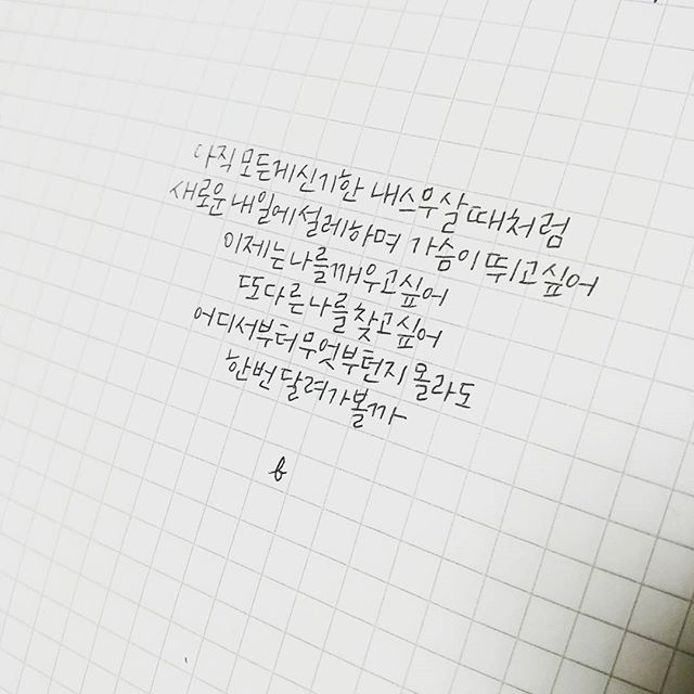 데이그래피 이미지