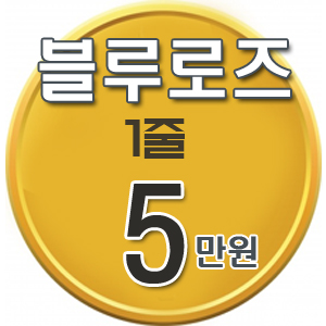 블루로즈 이미지
