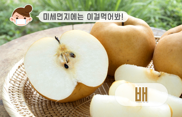 본가한의원 이미지
