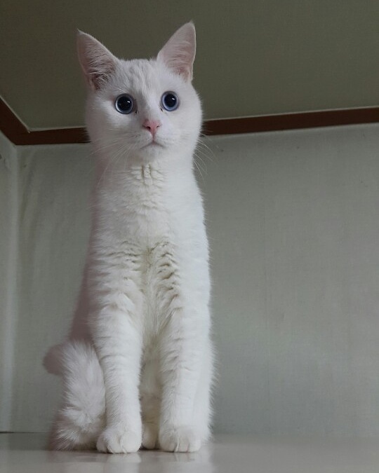 간식파티 이미지