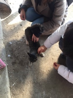도은식품 이미지
