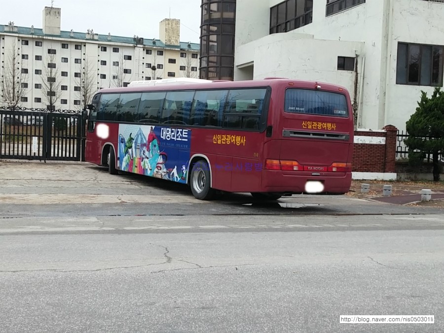 신일여행사 이미지