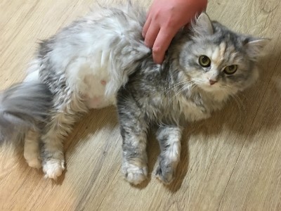 설아네일 이미지