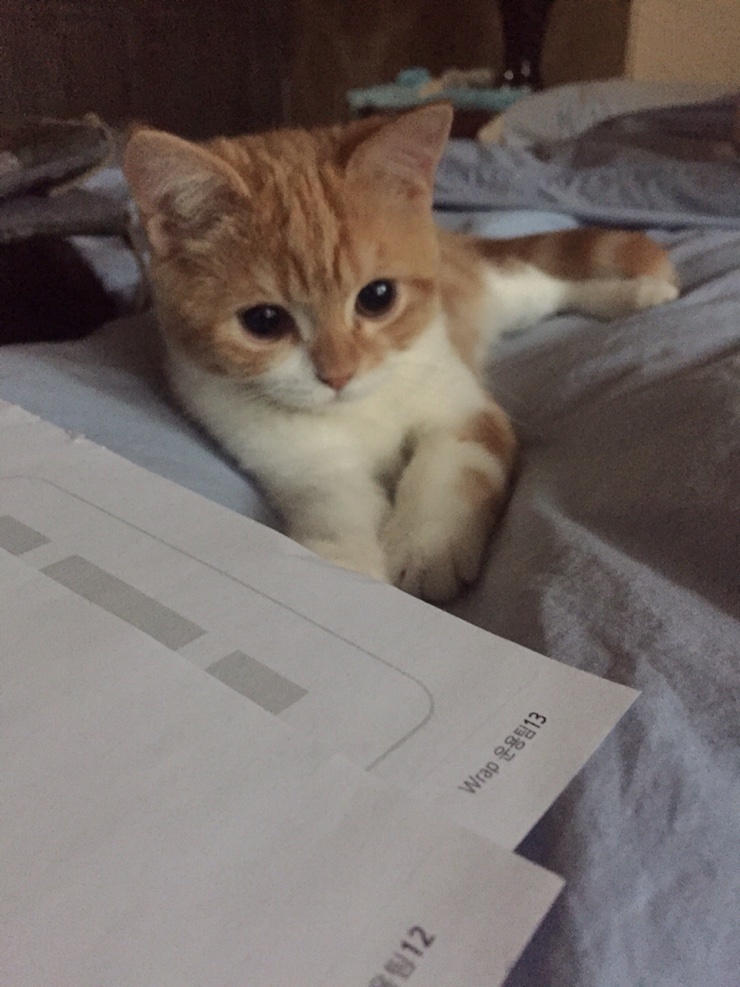 무타 이미지