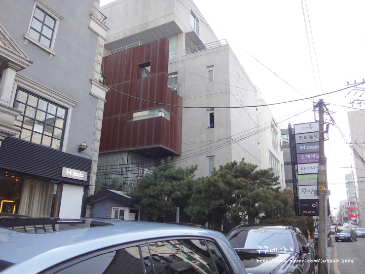 이구아수베이비 이미지