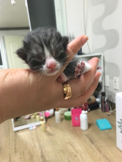설아네일 이미지