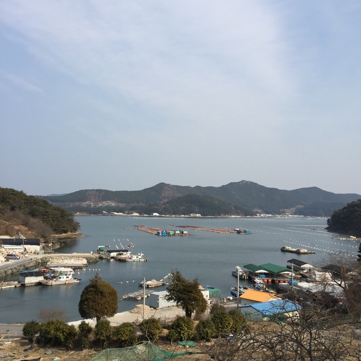 카페드안트워프 이미지