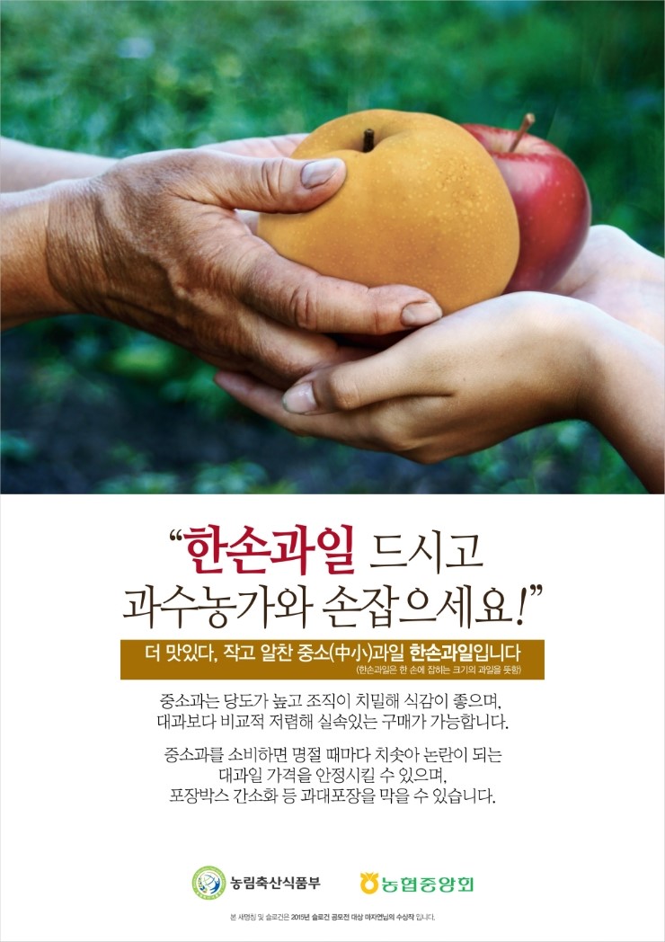 365과일 이미지