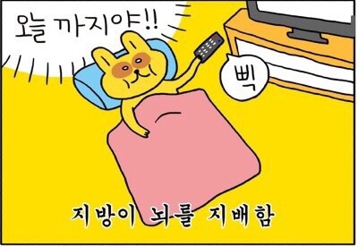 정다함 이미지