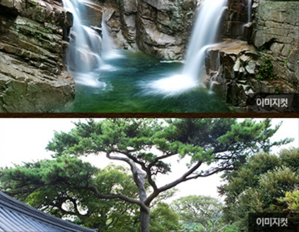 동산조경개발 이미지