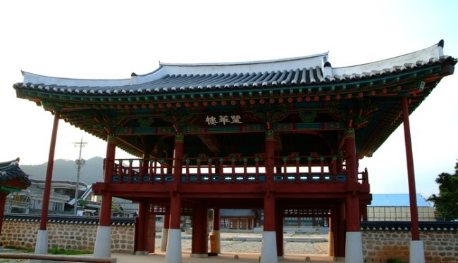 금성관광주 이미지