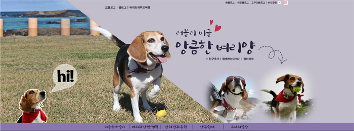앙큼한언니 이미지