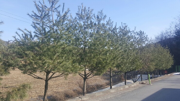 태양농산 이미지