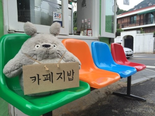 카페지밥 이미지