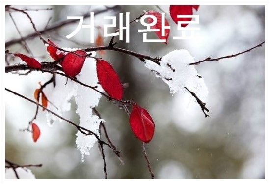 제일보일러하우스 이미지
