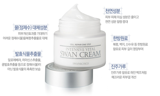 스완코코 이미지