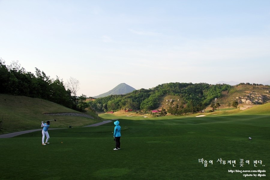 갈매기횟집 이미지