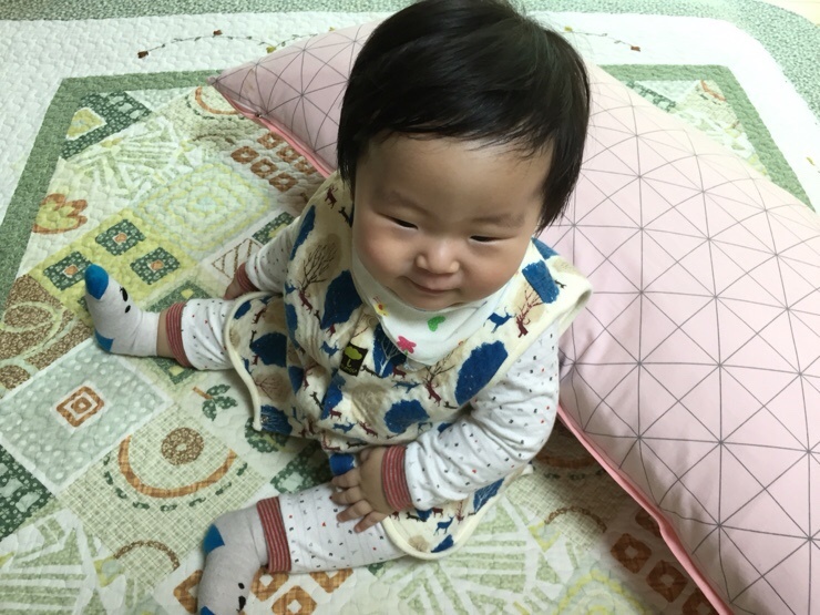 꼬노꼬노 이미지