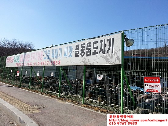 서부대로주유소 이미지
