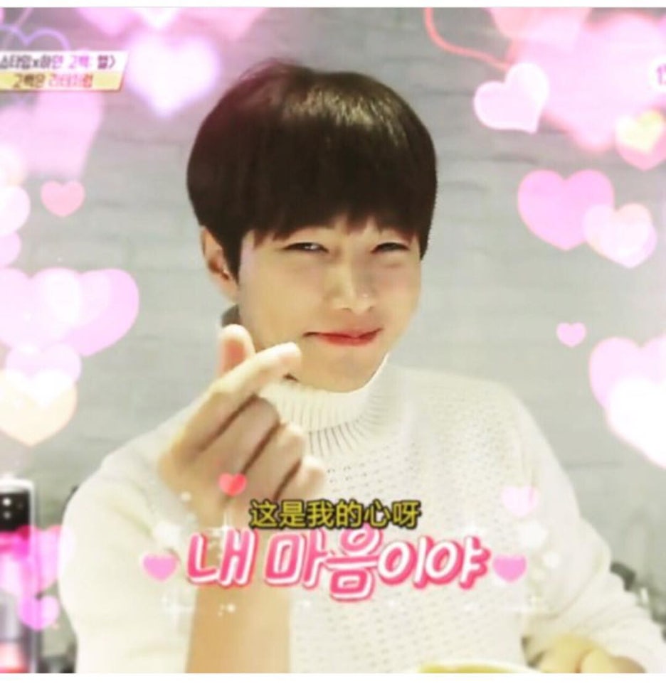 엘스타 이미지