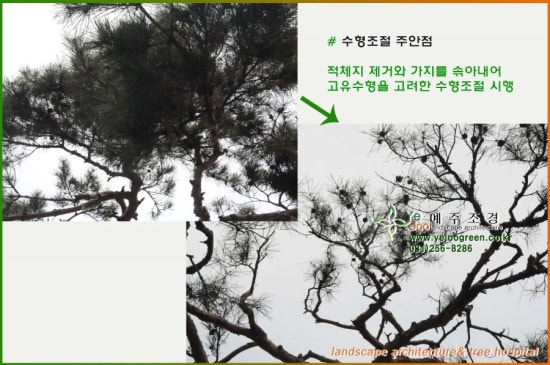 수광고사 이미지