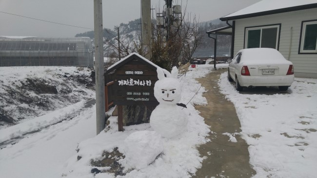 가자토끼나라 이미지
