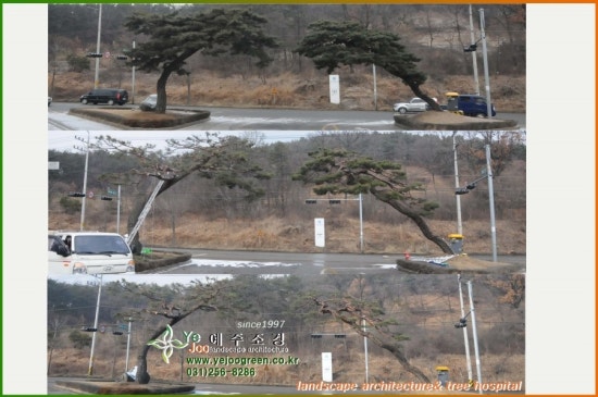 수광고사 이미지