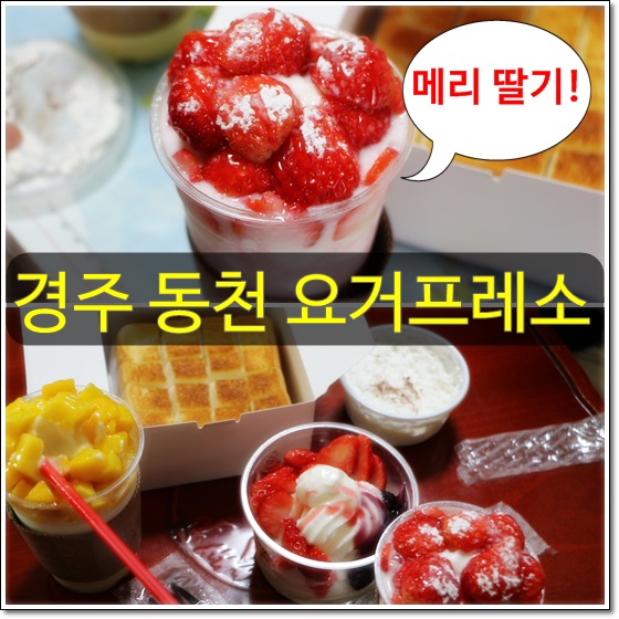 요거프레소경주 이미지