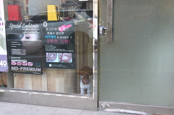 뷰티돌 네일 이미지