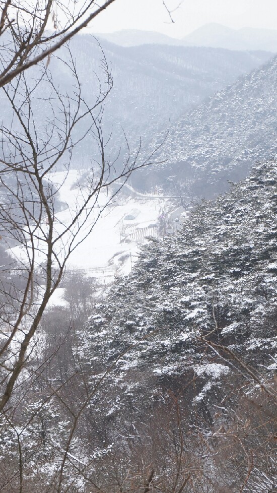 칠갑산하 이미지