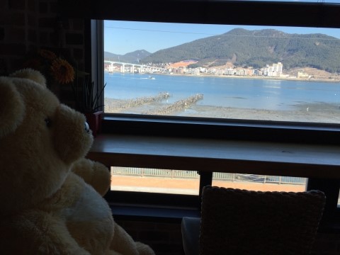마루펜션카페 이미지