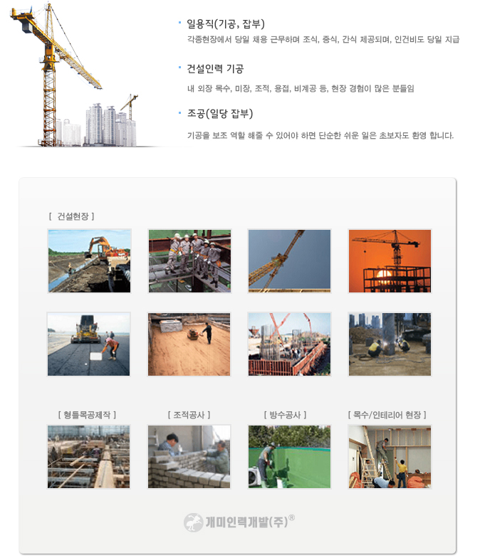 개미인력개발 이미지