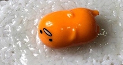 노른자케이스 이미지