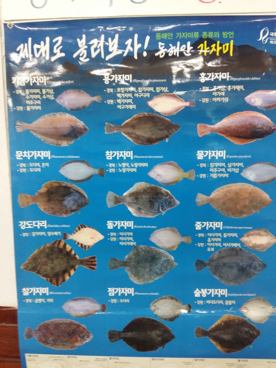 쨍하고회뜨는날 이미지