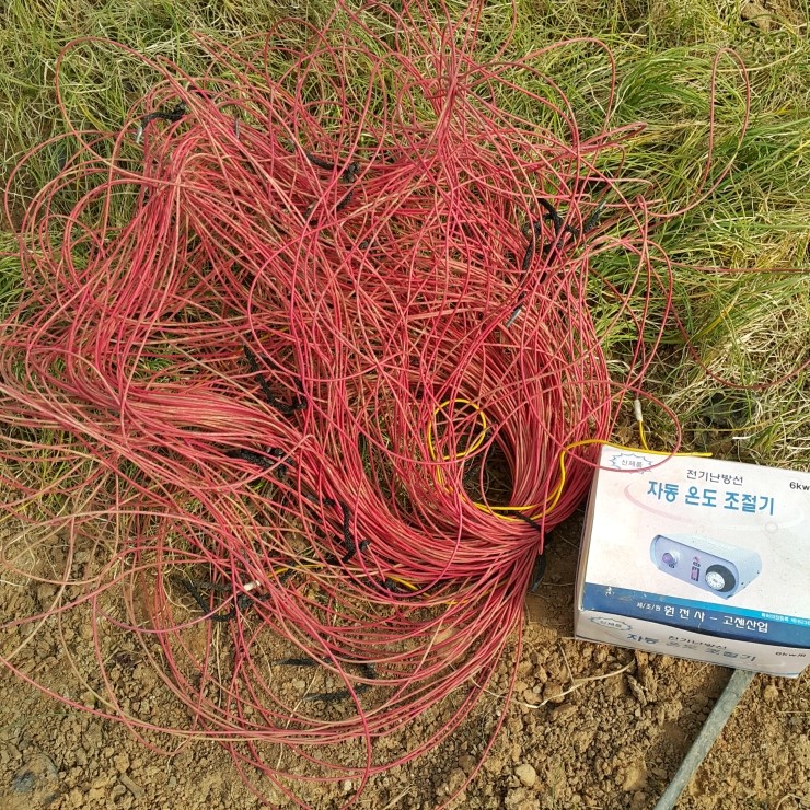 동양약용식물 이미지