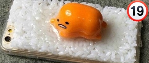 노른자케이스 이미지
