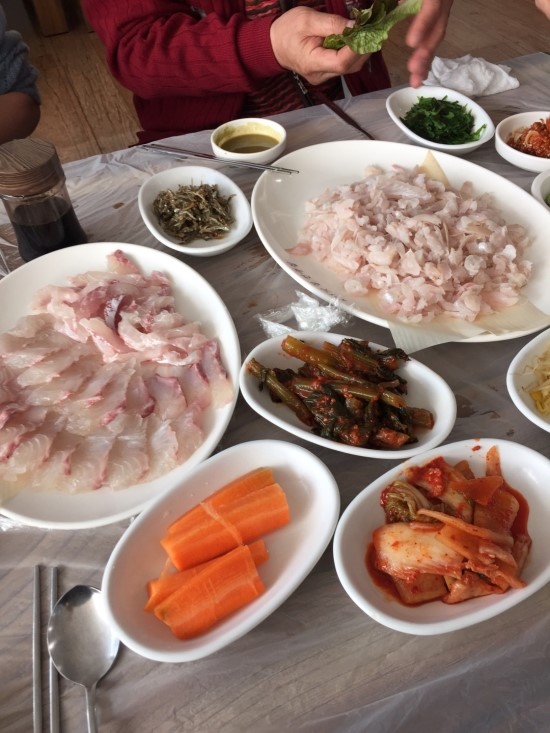 돌산아나고 이미지
