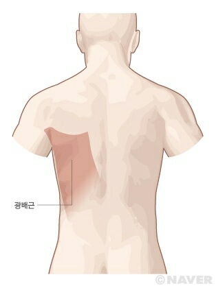 성지스포렉스 이미지